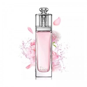디올 어딕트 오 프레쉬 오드뚜왈렛 향수 100ml